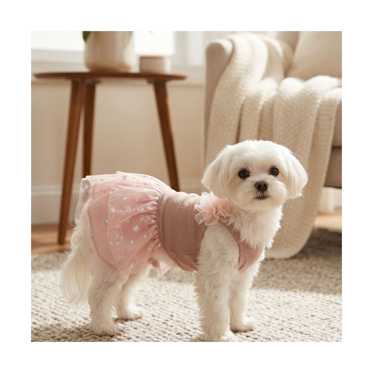 Vestido Rosa Con Melon Talla Chica Maypet image number null