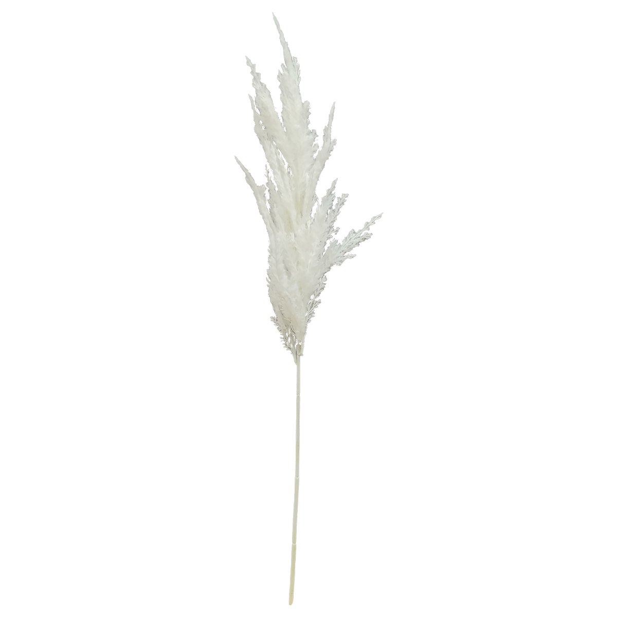 Pampas Spray Cream Vintage Home image number null