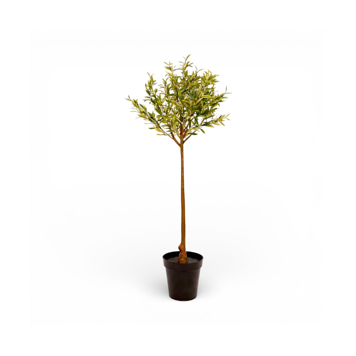 Home Nature Planta Artificial Olivo en Maceta 120 cm image number null