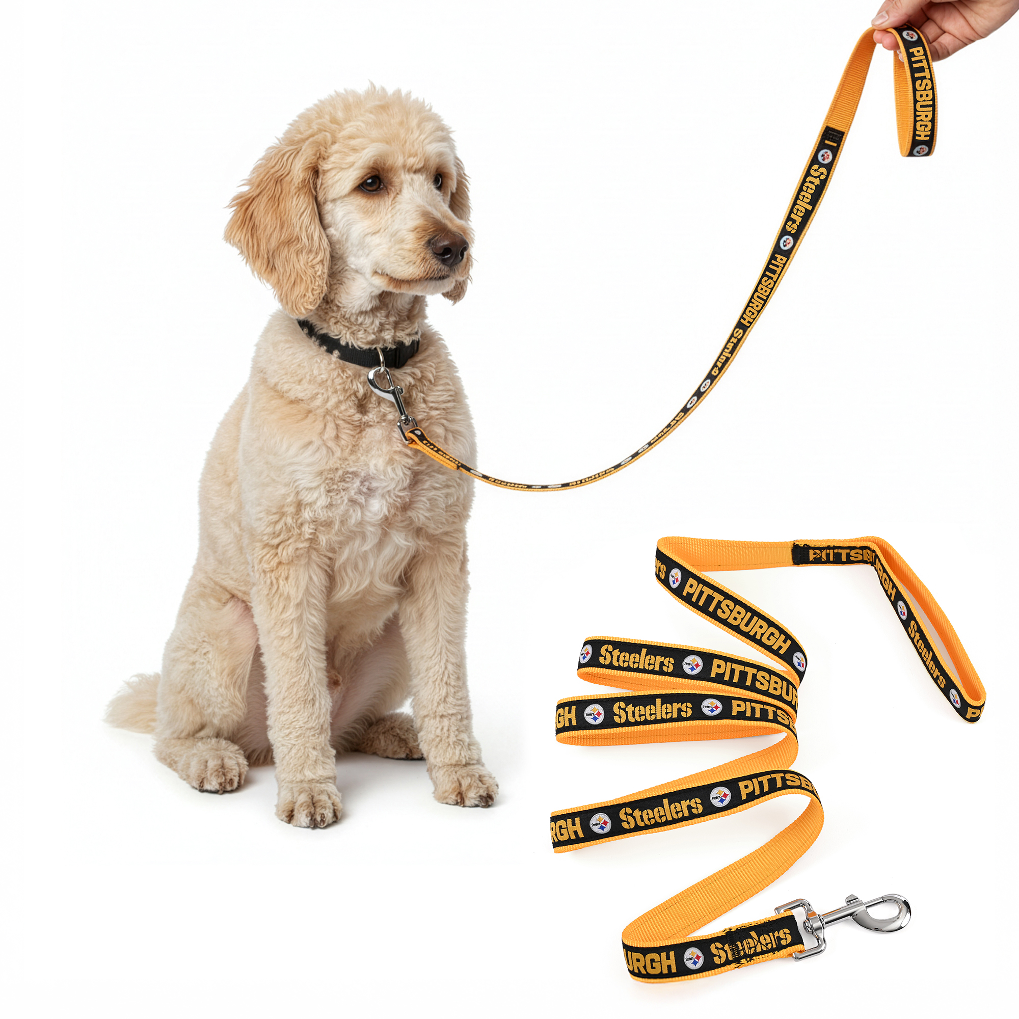 Collar Steelers Nfl image number null