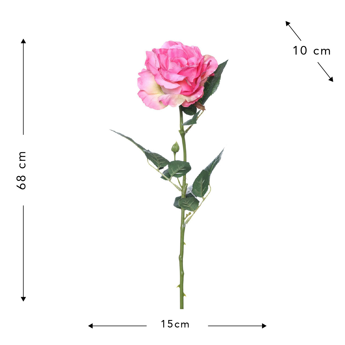 Rosa Artificial  Concepts image number null