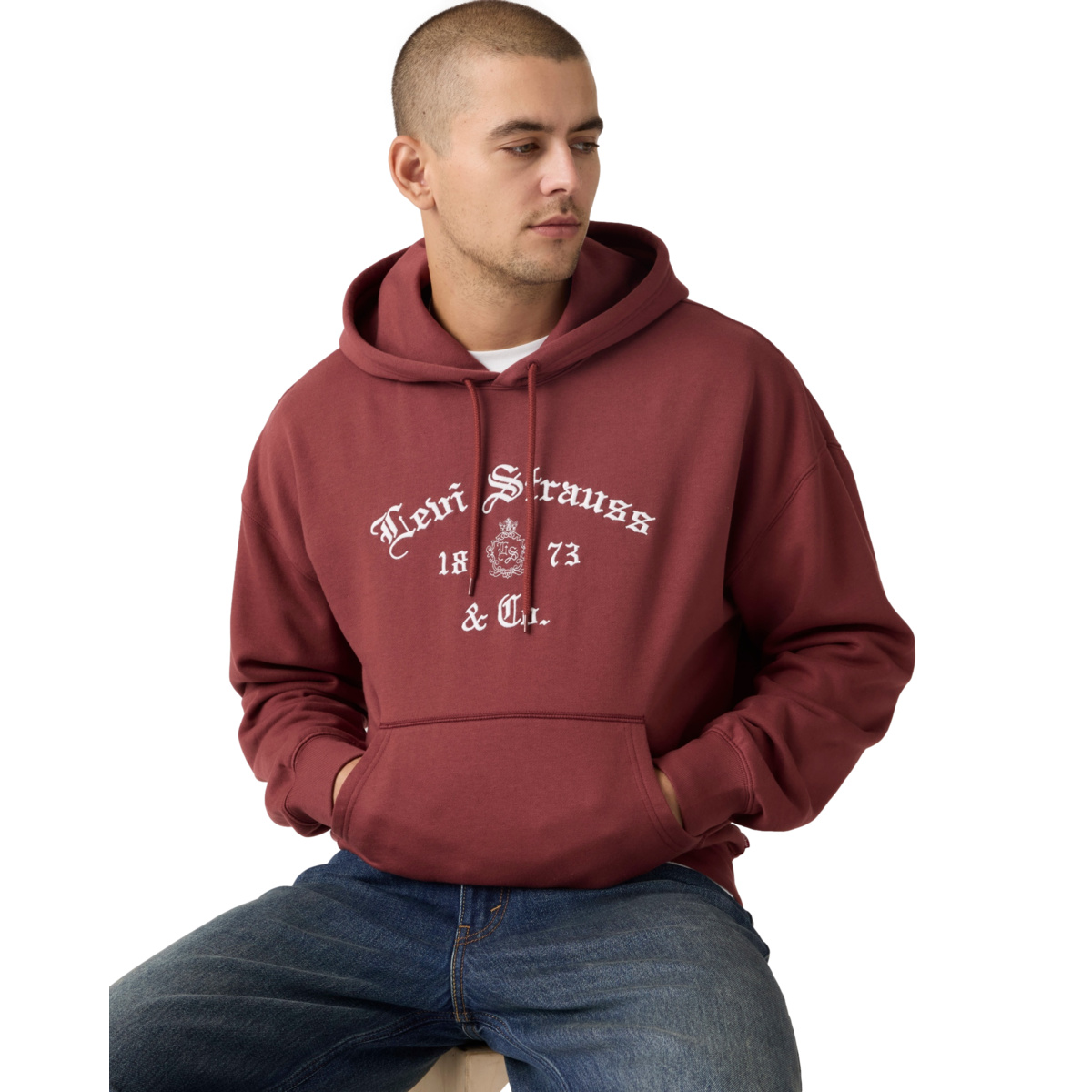 Levi&rsquo;s&reg; Sudadera con Capucha y Dise&ntilde;o Relaxed Fit para Hombre image number null