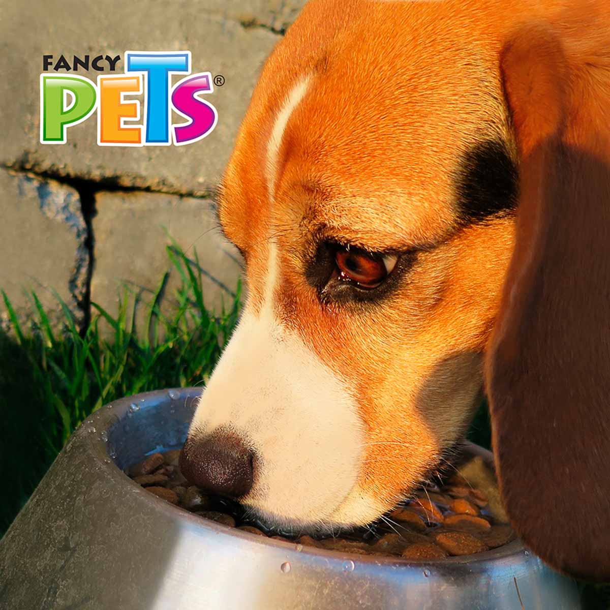 Plato De Acero 8 Oz Para Perro image number null