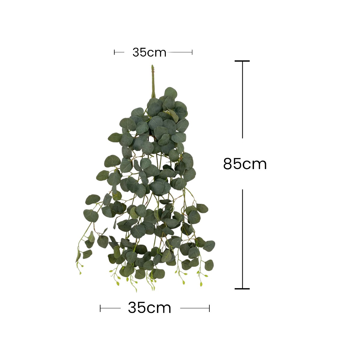 Eucalipto Decorativo Home Nature image number null