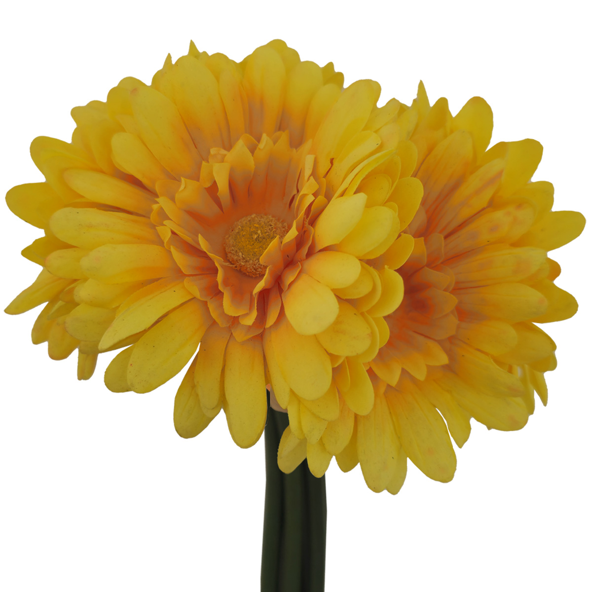 Ramo Gerberas 30 Cm Amarillo LOTTUS image number null