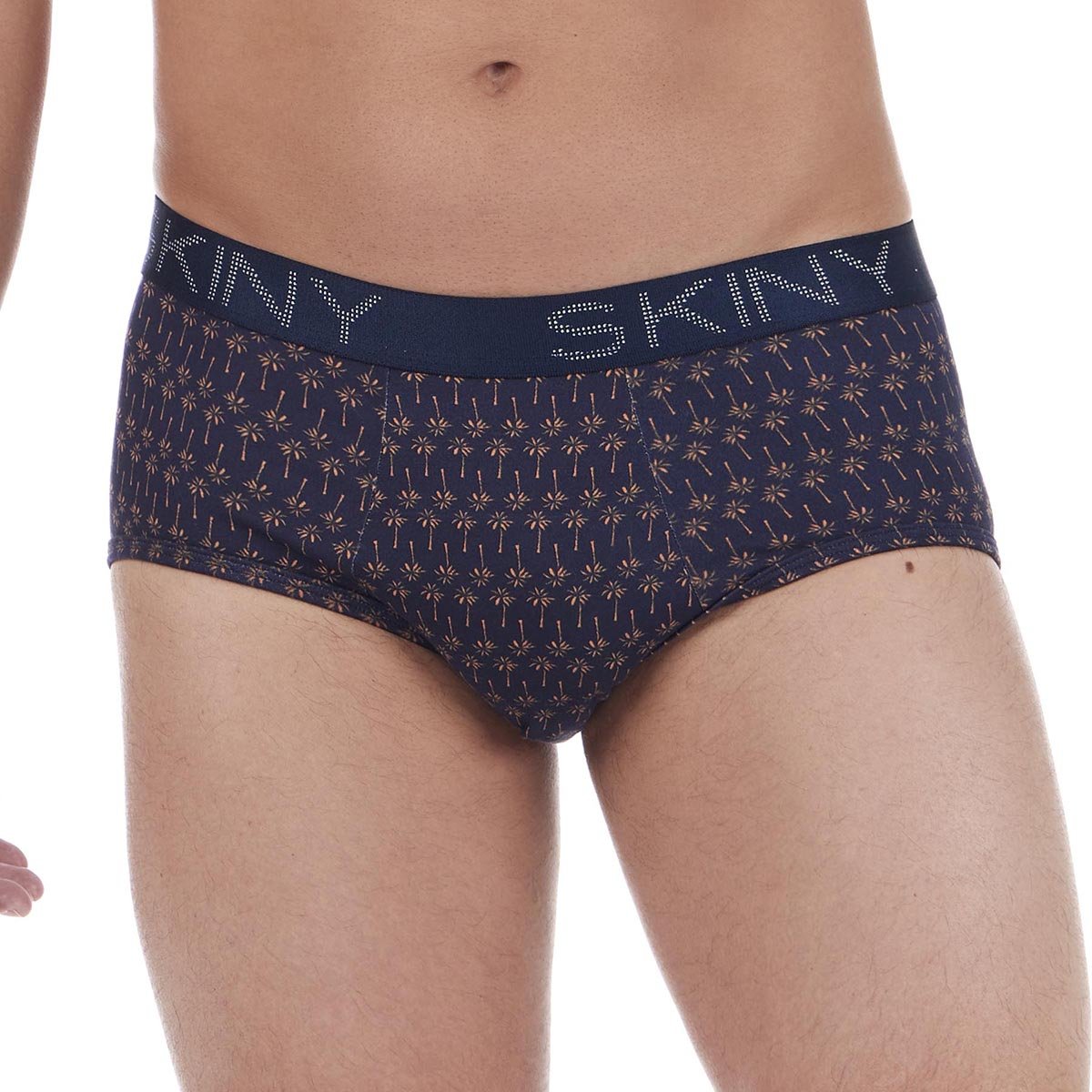 2 Pack Trusa Brief The Vacation Abr Skiny para Hombre image number null
