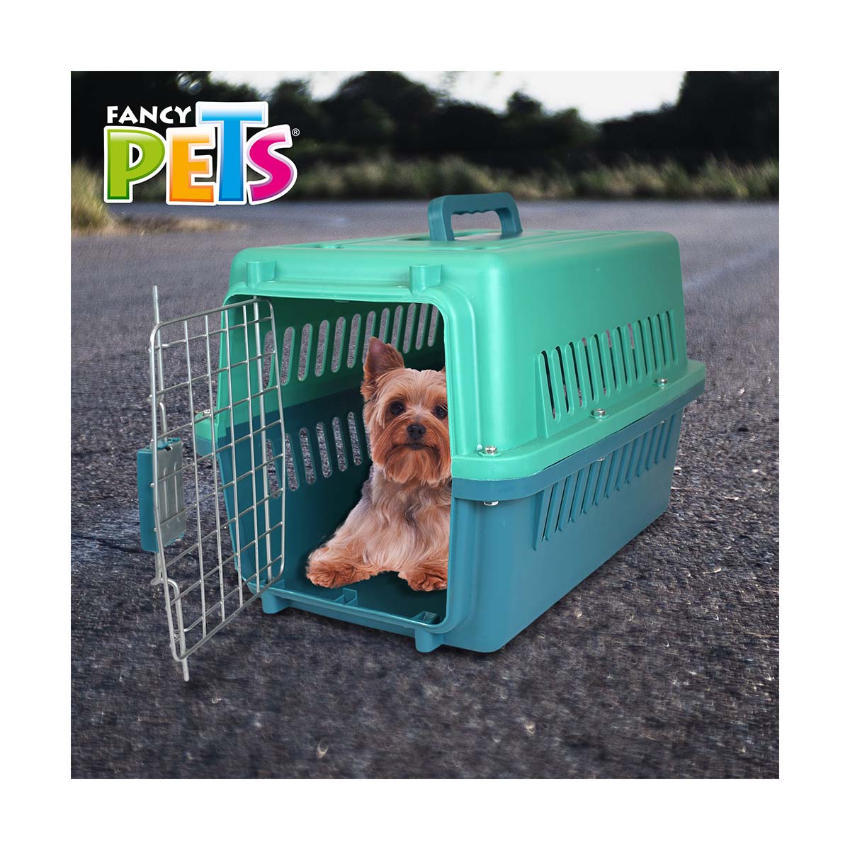 Transportadora Galery Azul Aqua Fancy Pets image number null