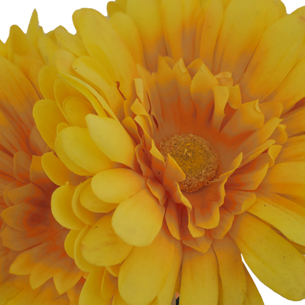 Ramo Gerberas 30 Cm Amarillo LOTTUS image number null