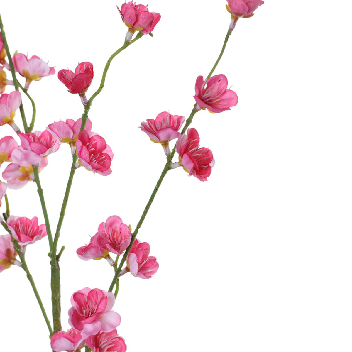 Cerezo Rama Artificial Concepts image number null