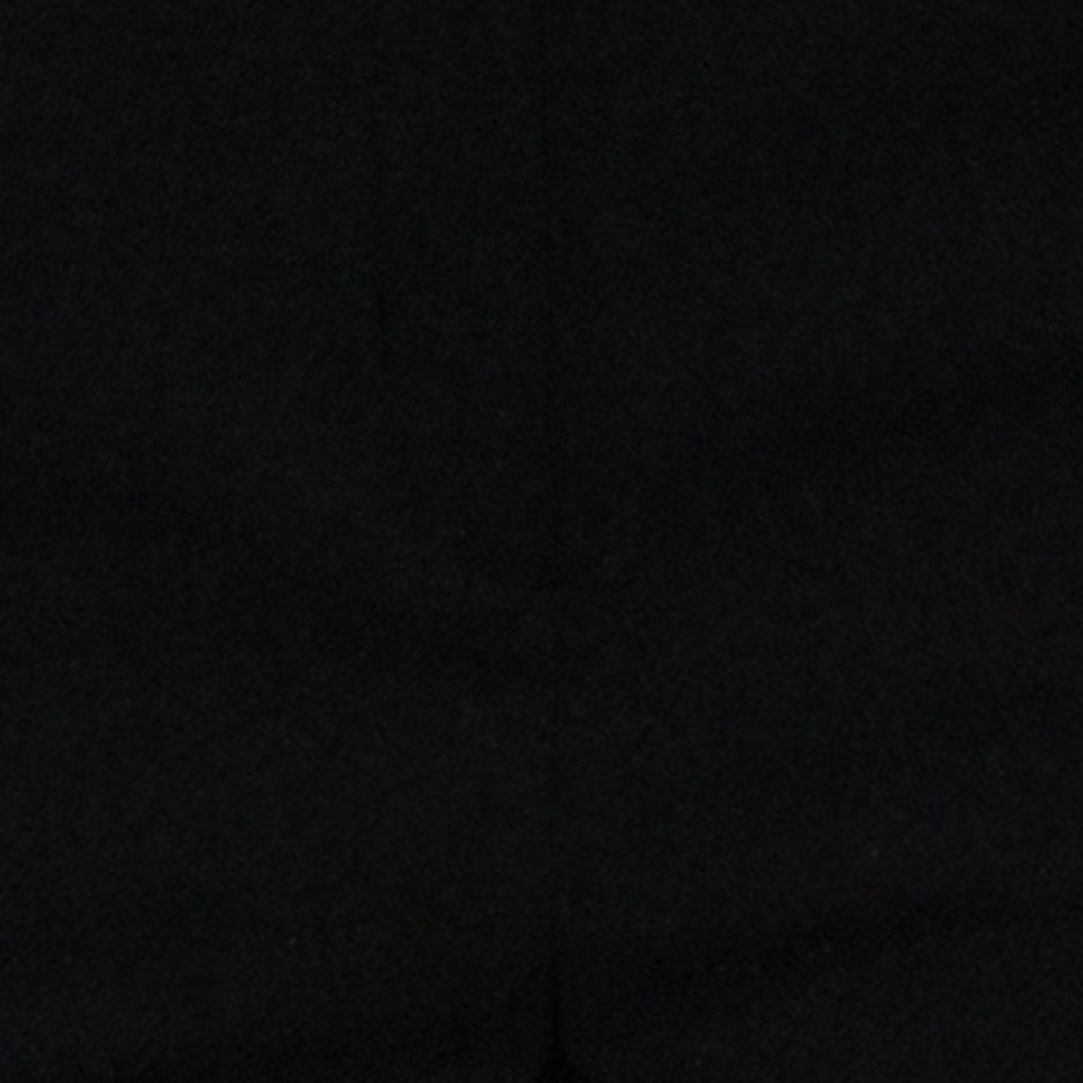 Pantalon Recto Con Cinturon Philosophy Jr Petite Para Mujer Petit image number null