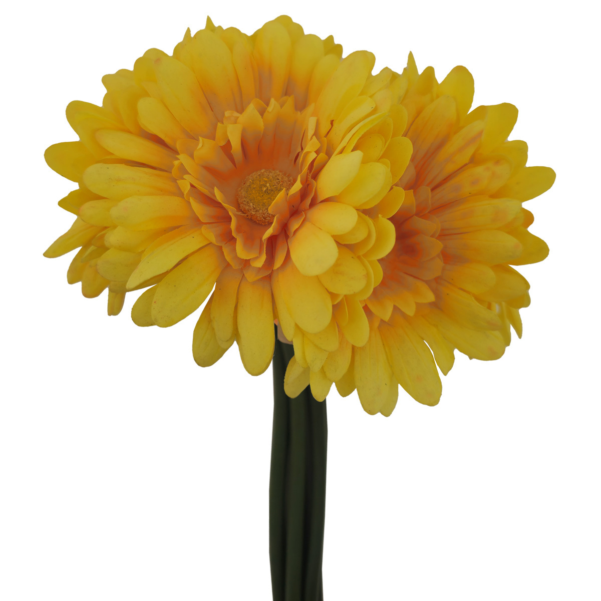Ramo Gerberas 30 Cm Amarillo LOTTUS image number null