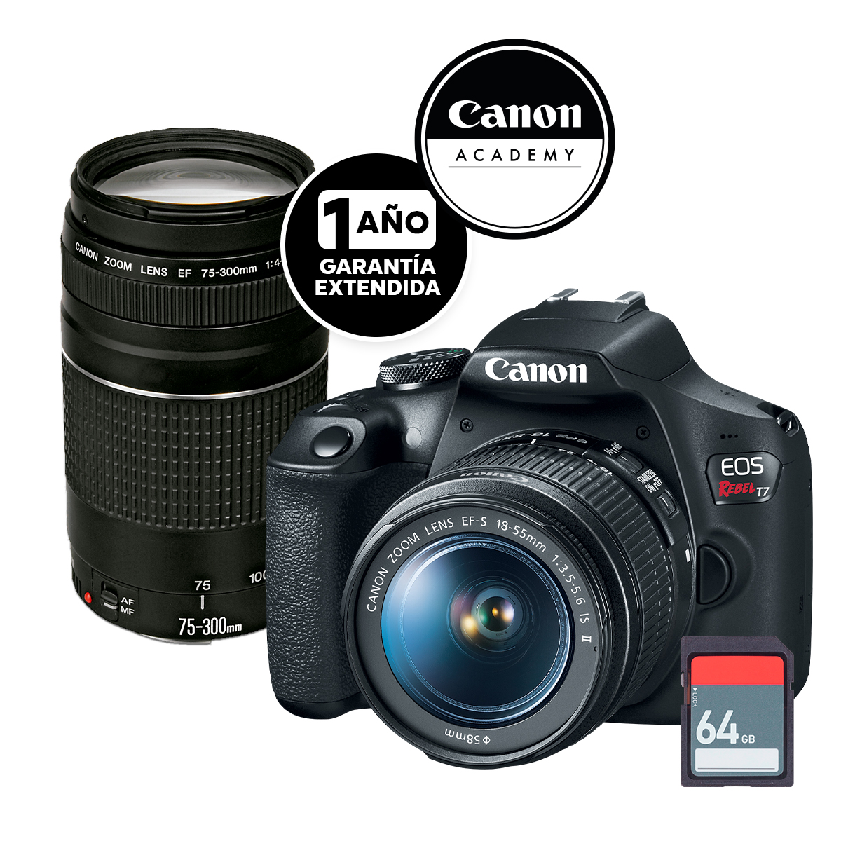 Camara Canon Kit T7 Ef-S 18-55mm Ef 75-300mm Sd64g image number null