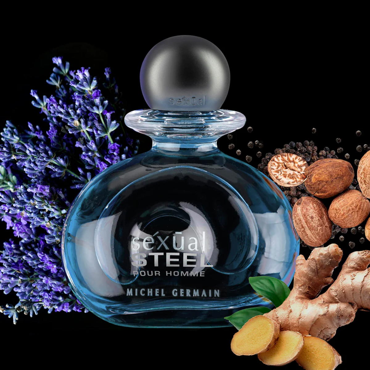 Eau de toilette  Michel Germain Sexual Paris 125 Ml para Hombre image number null