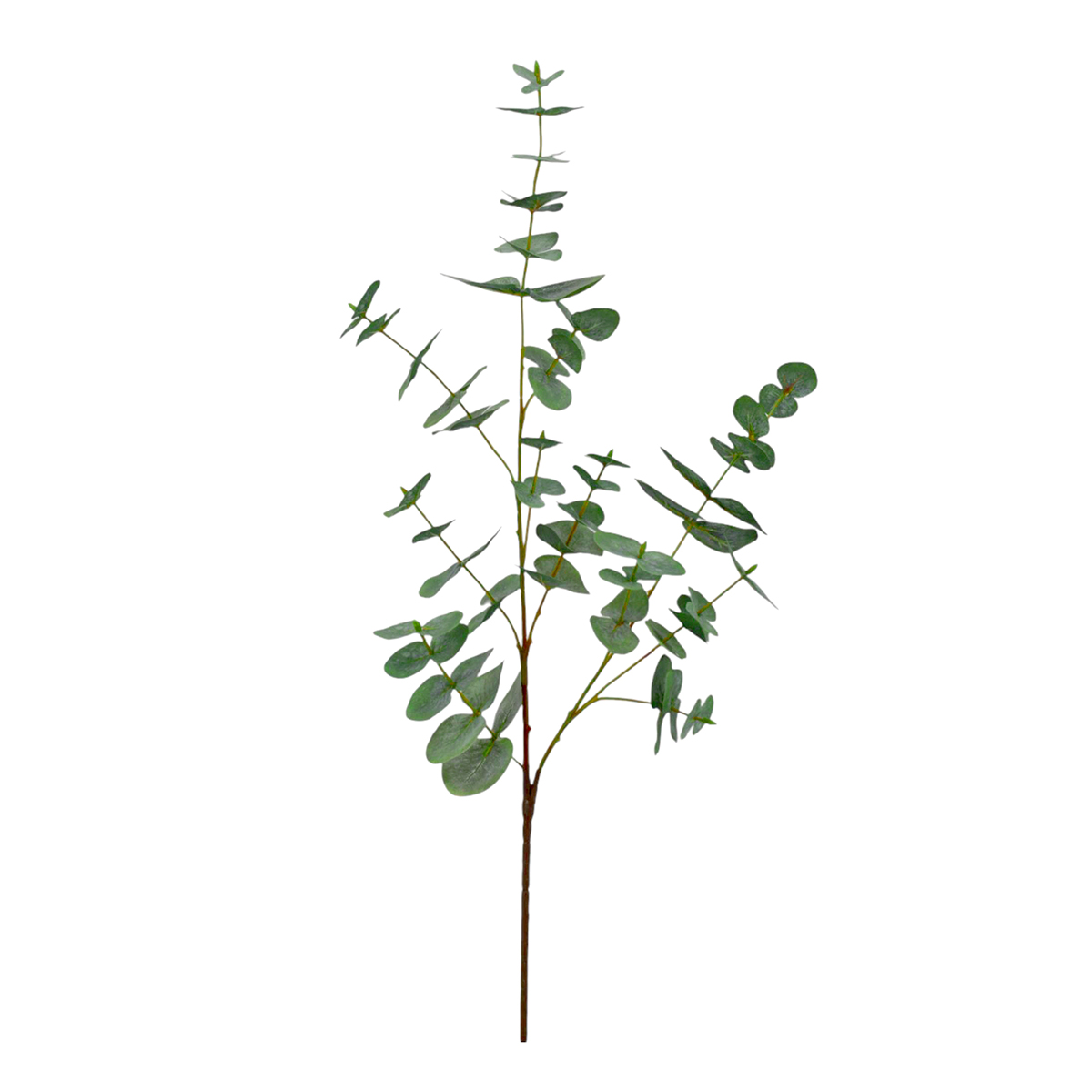 Eucalipto Decorativo Home Nature image number null