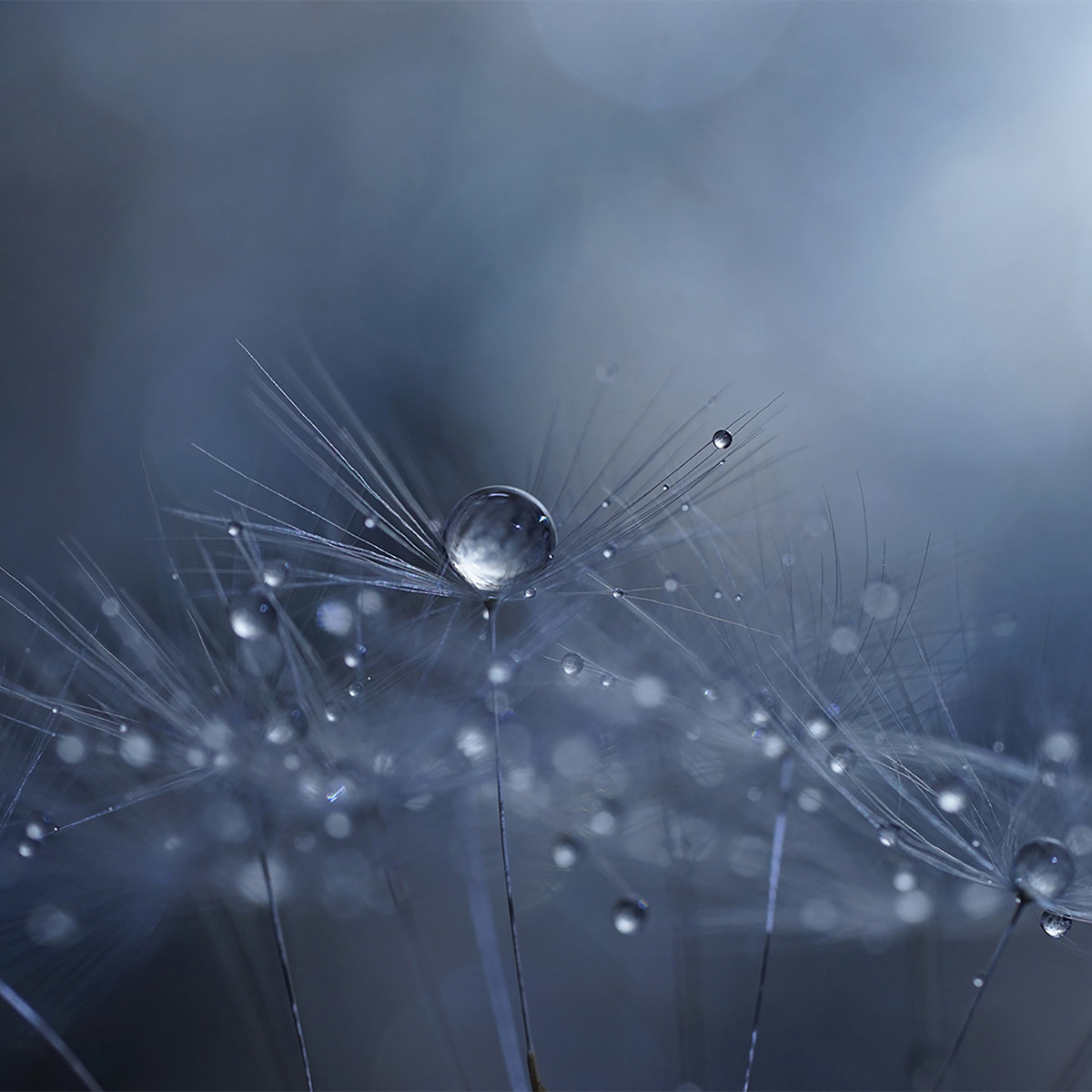 Lente Sony Fe 90 Mm F2.8 Macro G Oss Sel90m28g image number null