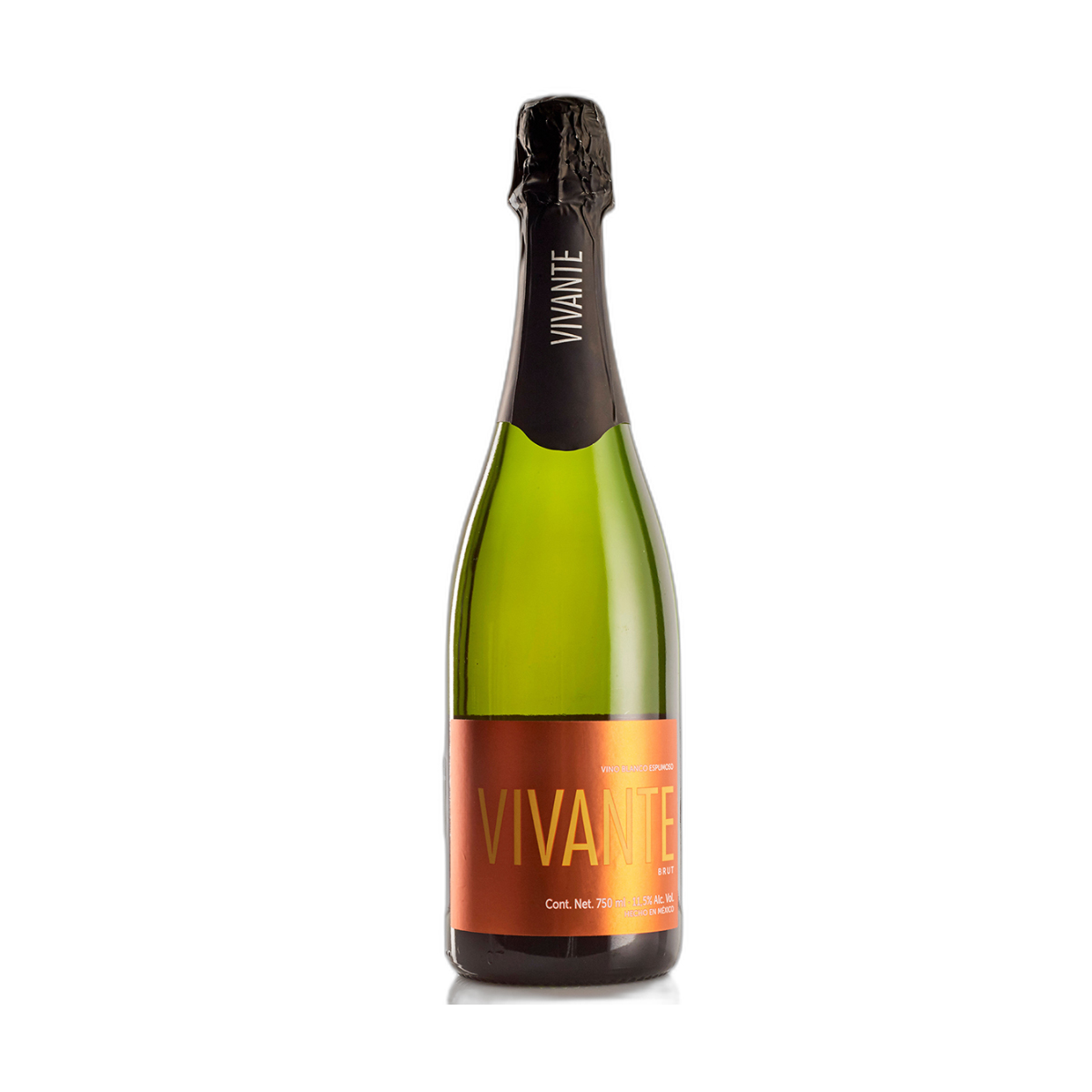 Vino Espumoso Mexicano VivanT&eacute; Bru 750Ml image number null