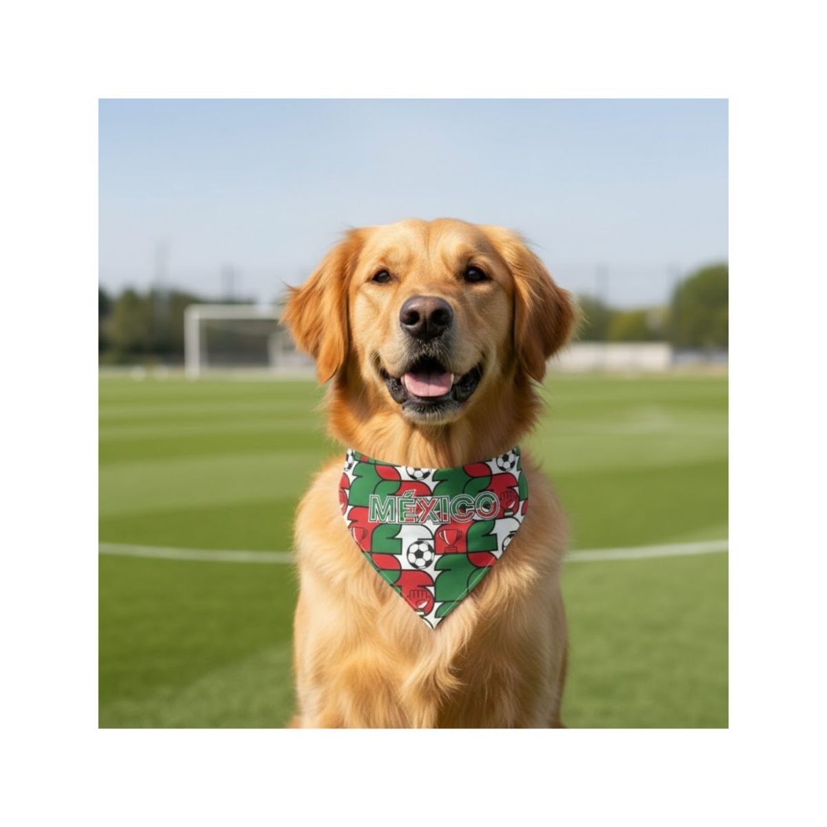 Bandana M&eacute;xico Basha Pets image number null