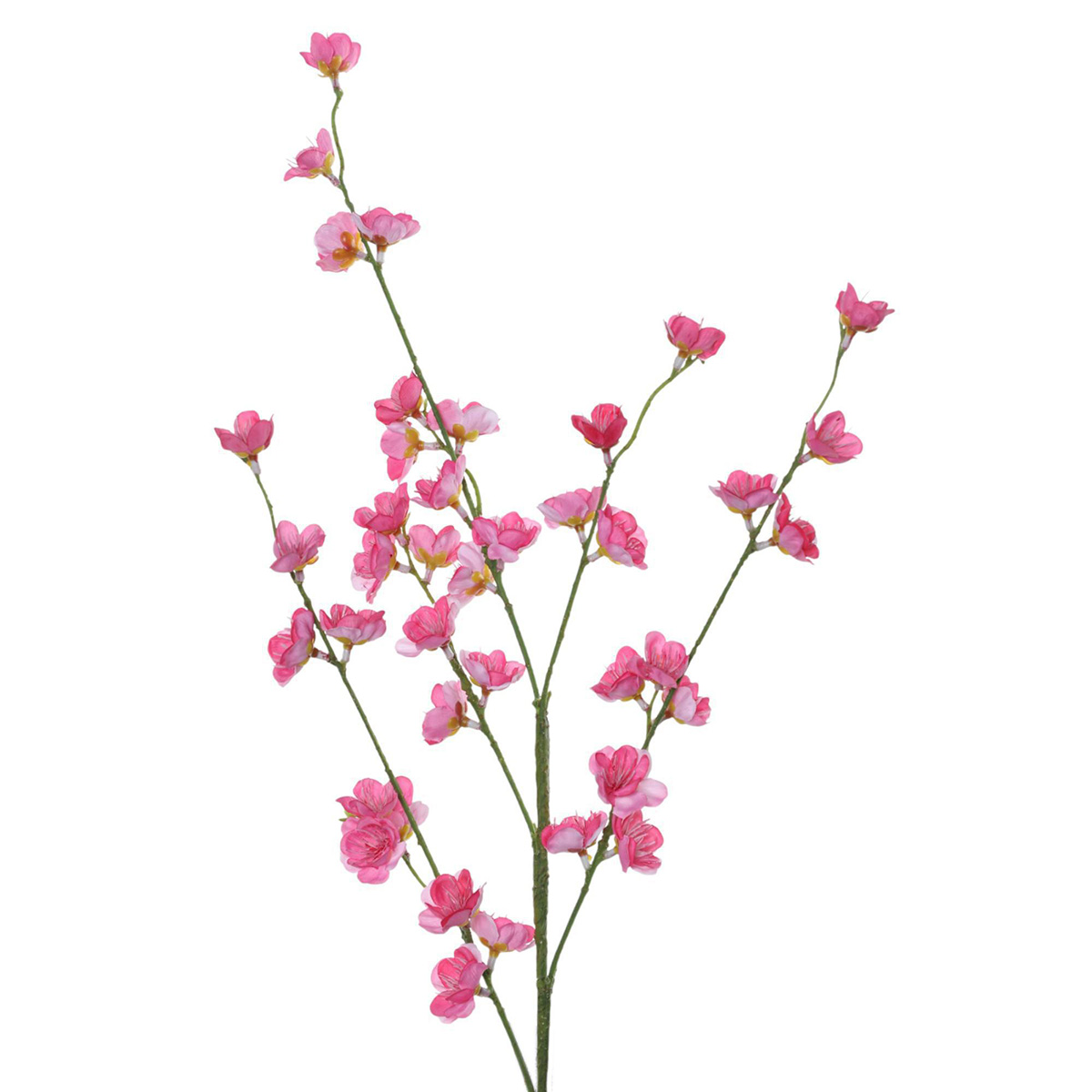 Cerezo Rama Artificial Concepts image number null