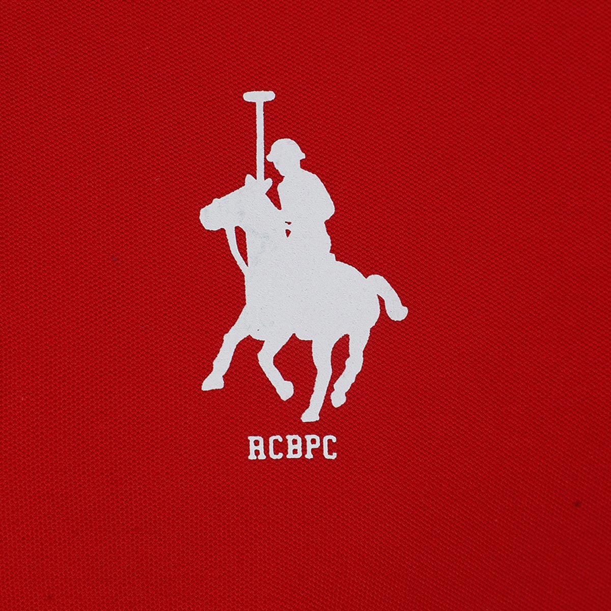Playera Polo Dise&ntilde;o Bordado Manga Corta Polo Club para Hombre Plus image number null