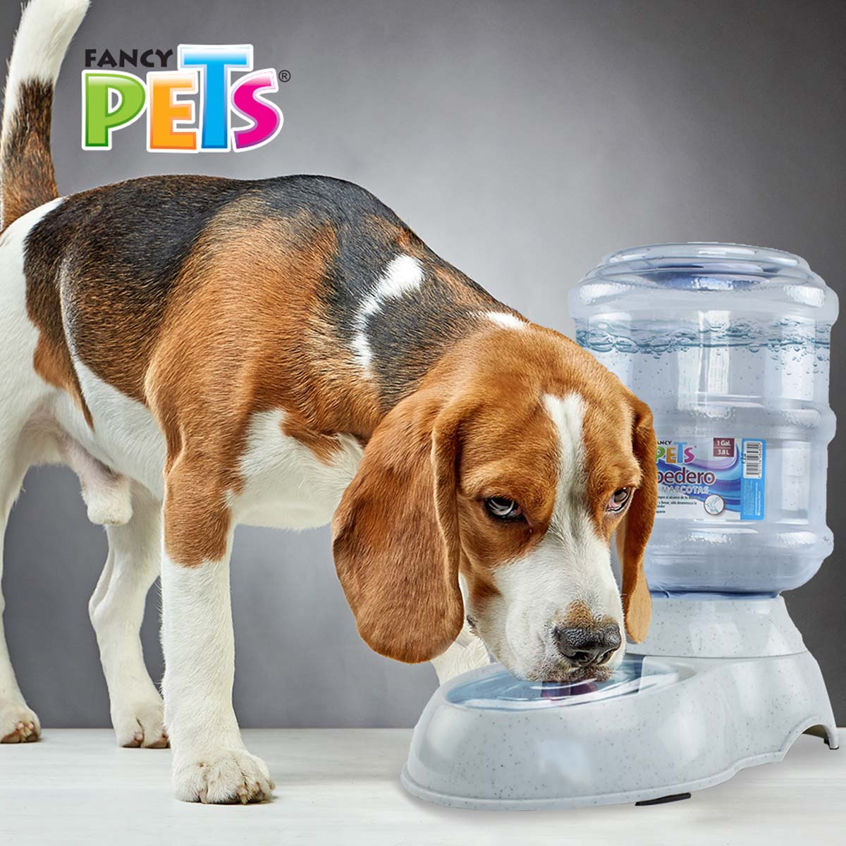 Bebedero Ch  1 Gal / 3.8 Lts Fancy Pets Fl8489 image number null