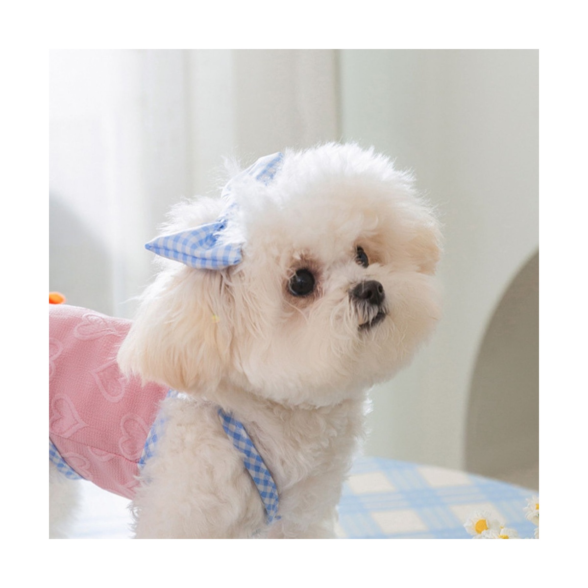 Vestido Rosa Con Azul Talla L Maypet image number null