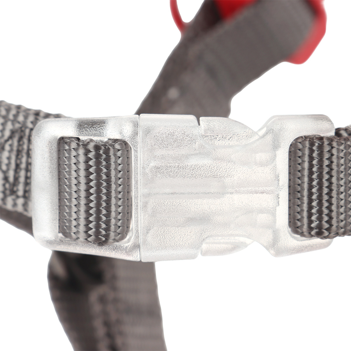 Arn&eacute;s Ajustable y Resistente Plata Pata para Perro image number null