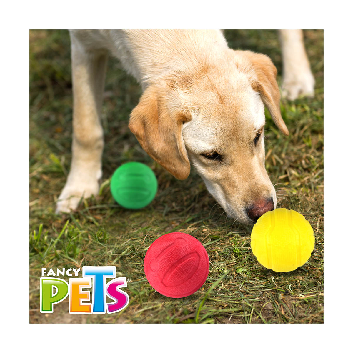 Set De 3 Pelotas Con Aroma Sniff 3 Piezas Fancy Pets image number null
