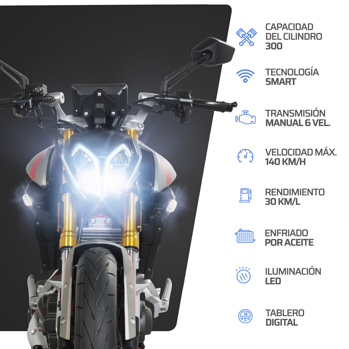 Motocicleta Vento Nitrox T3 300 2025 image number null
