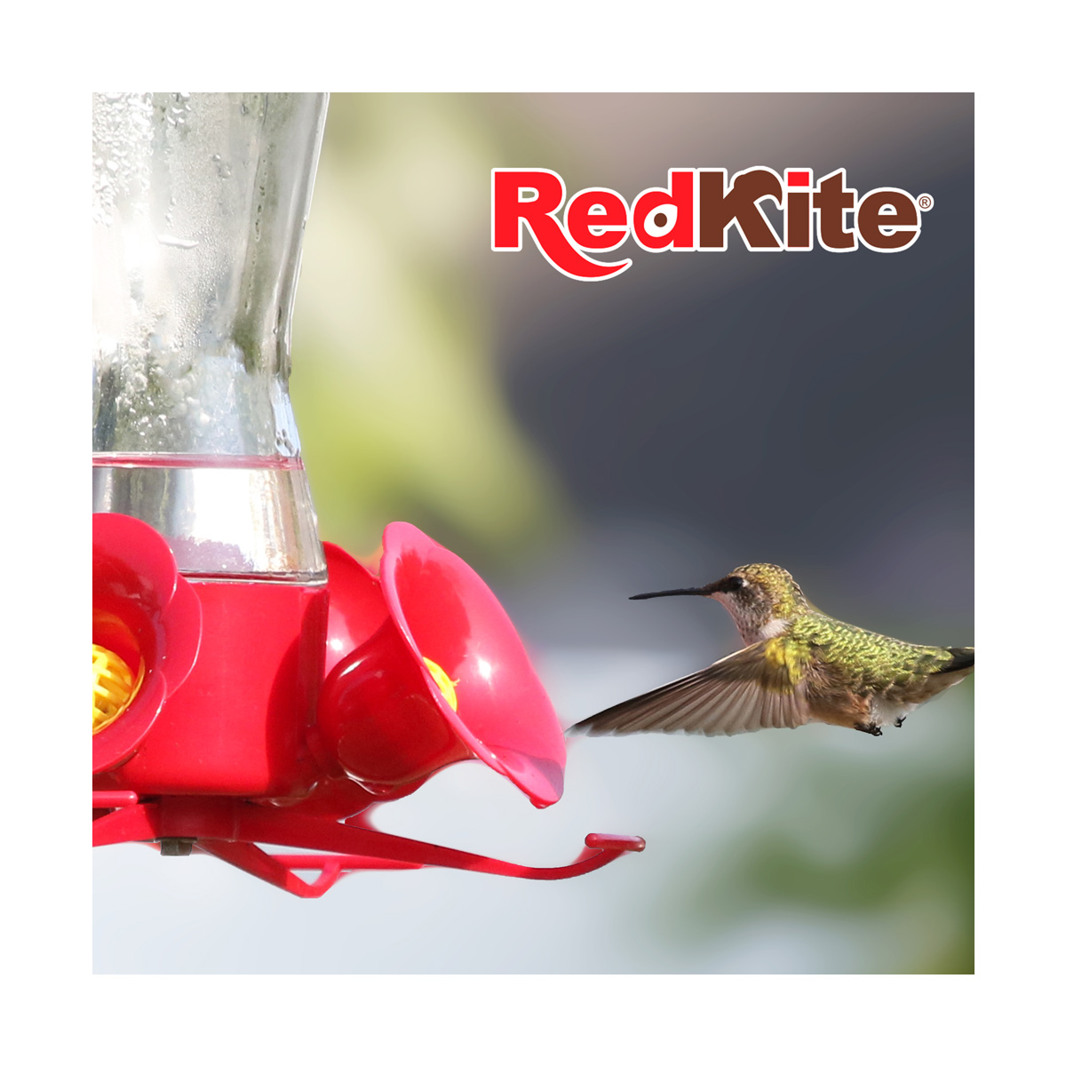 N&eacute;ctar L&iacute;quido P/Colibris 1.5L Sin Colorante Redkite image number null