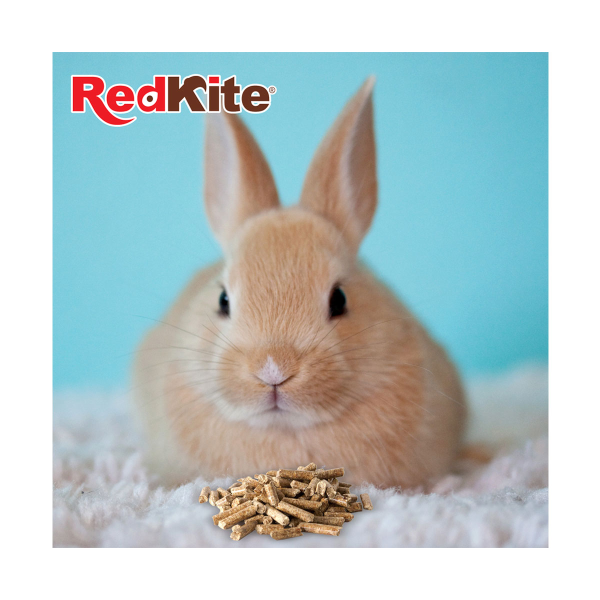 Alimento para Conejo 1.2Kg Redkite image number null