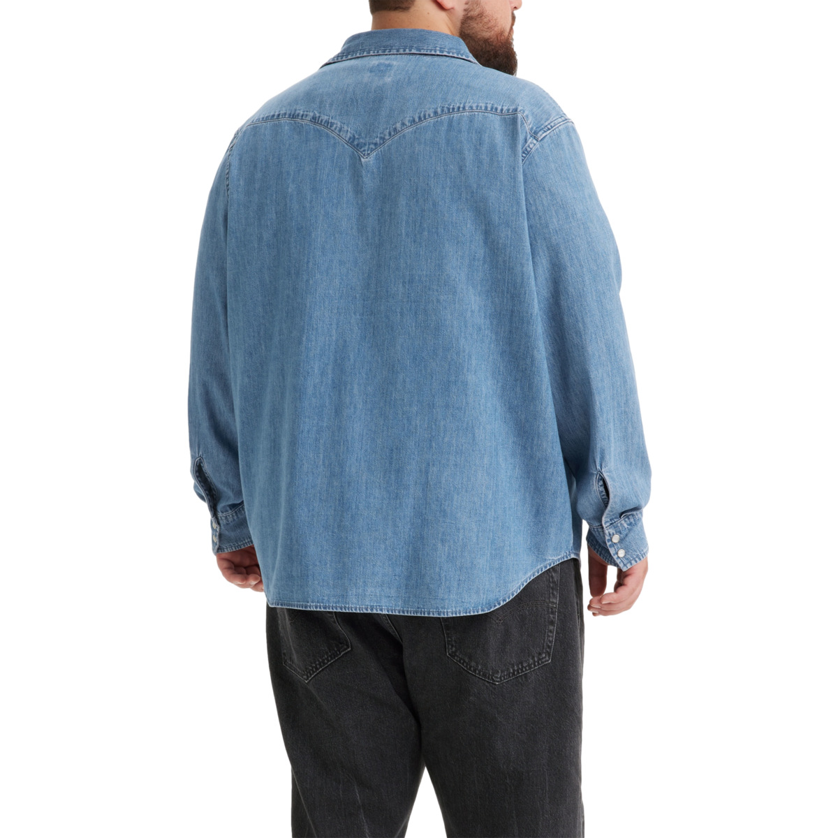 CAMISA ML BT LISA LEVIS 574230013 image number null