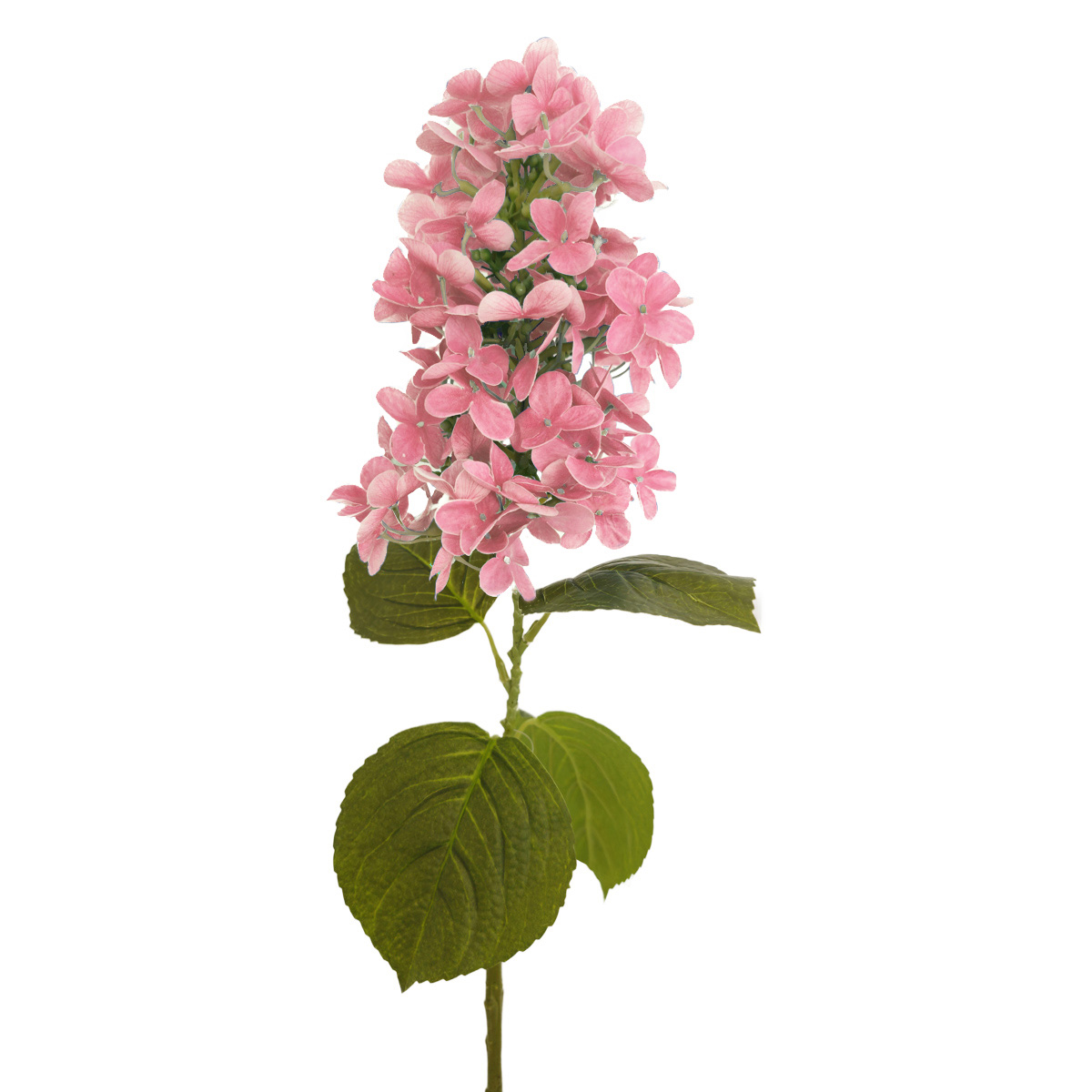 Hortensia 77 Cm Rosa LOTTUS image number null