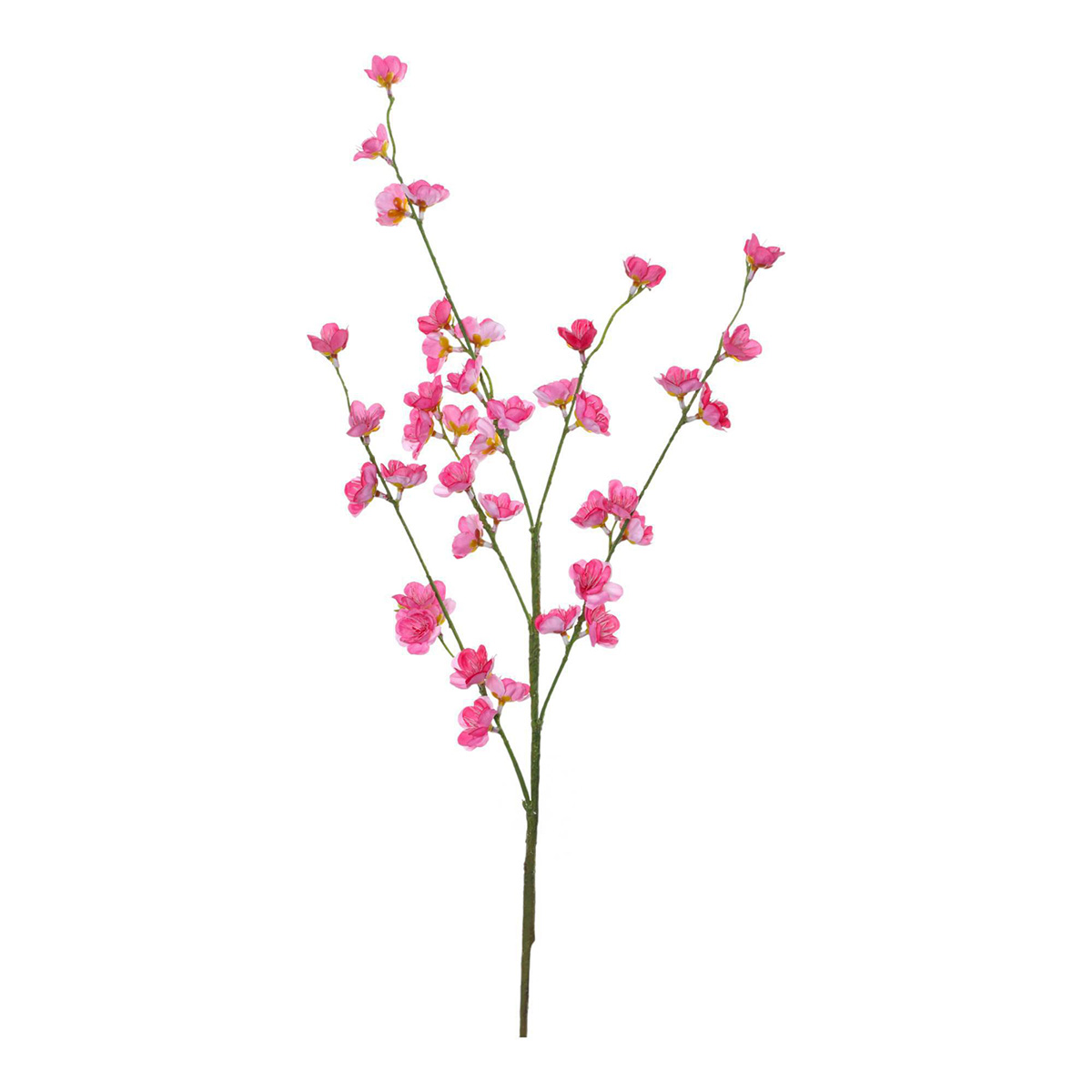 Cerezo Rama Artificial Concepts image number null