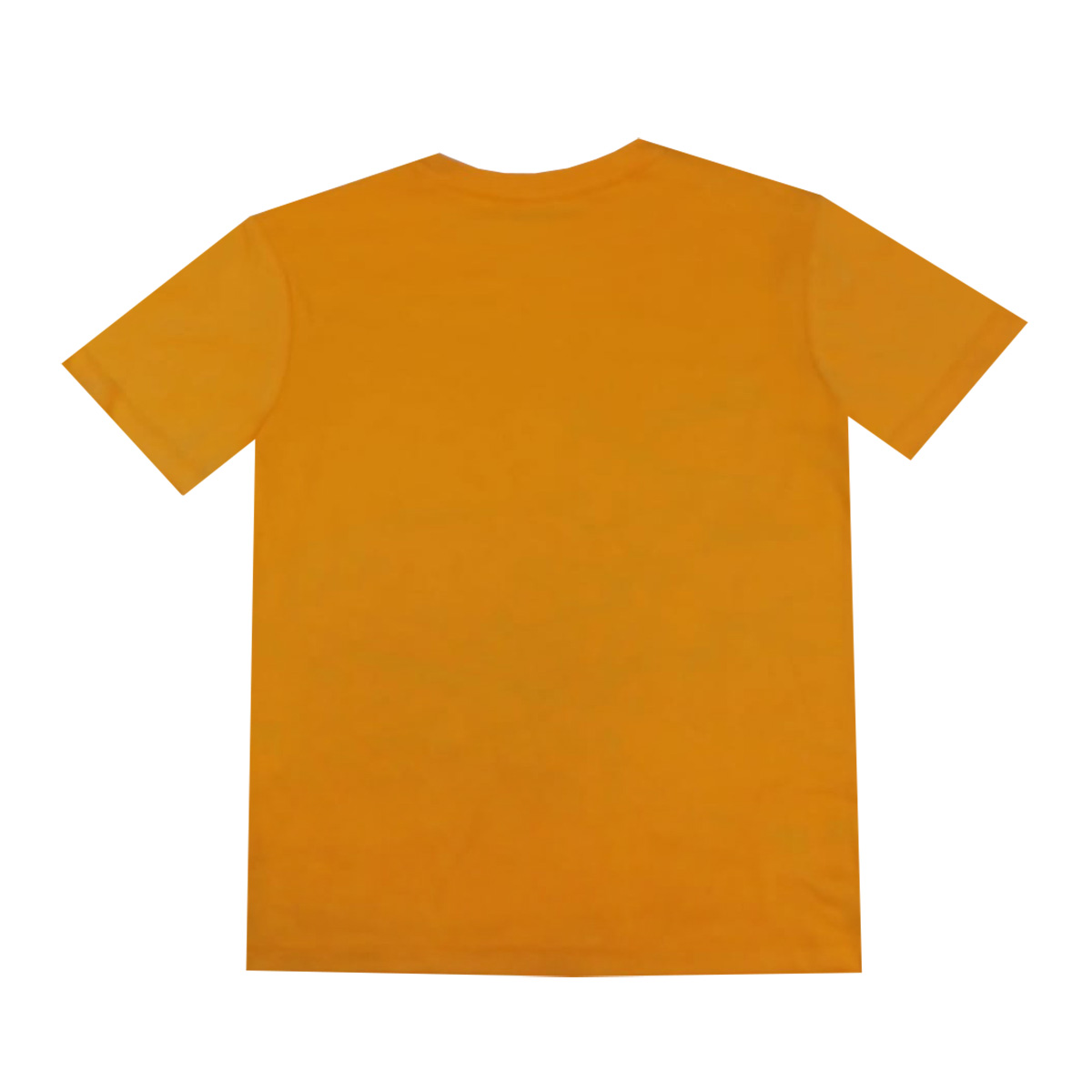 Playera con Dise&ntilde;o C&oacute;mo Entrenar A Tu Drag&oacute;n Manga Corta para Ni&ntilde;o image number null