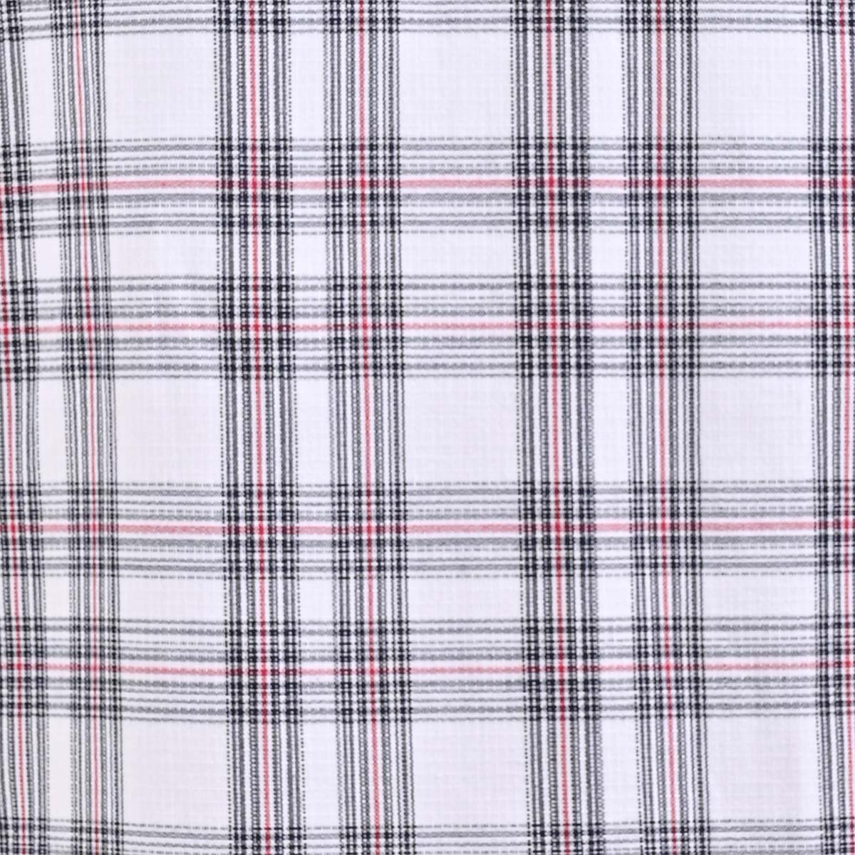 Guayabera a Cuadros Michel Blanc Manga Larga para Hombre Plus image number null