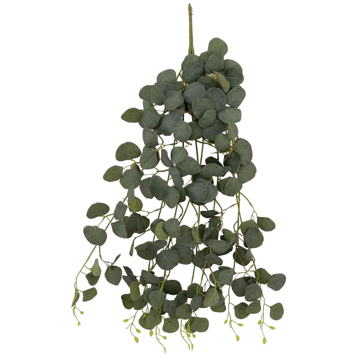 Eucalipto Decorativo Home Nature image number null
