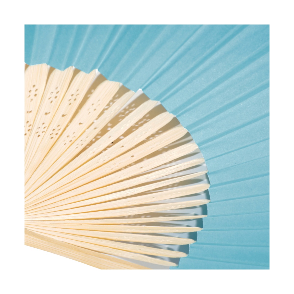 Abanico Bicolor Azul  Phi By Philosophy Jr image number null