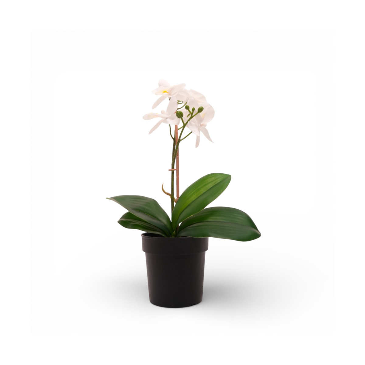 Home Nature Orqu&iacute;dea Blanca Artificial en Maceta 28 cm image number null