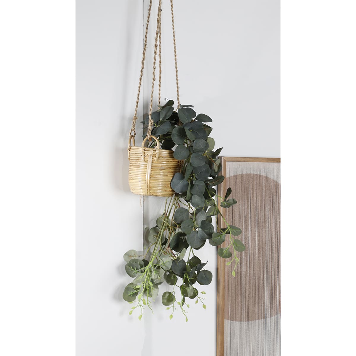 Eucalipto Decorativo Home Nature image number null