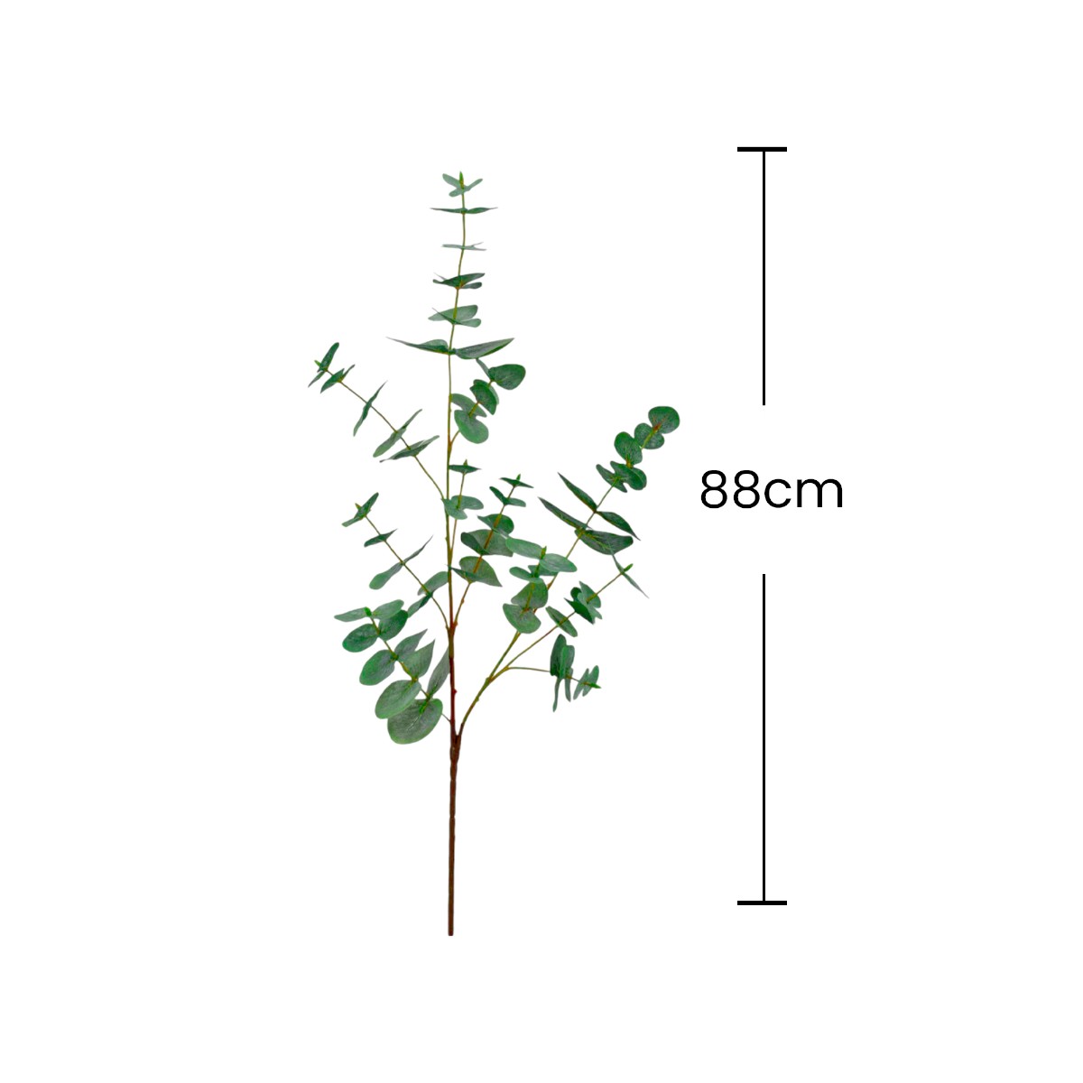 Eucalipto Decorativo Home Nature image number null