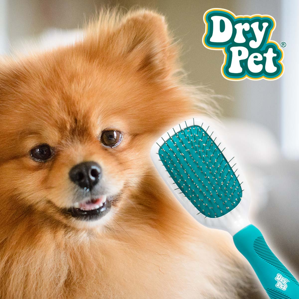 Cepillo Combinado Gde Dry Pet Mod. Fl8343 Para Perro image number null