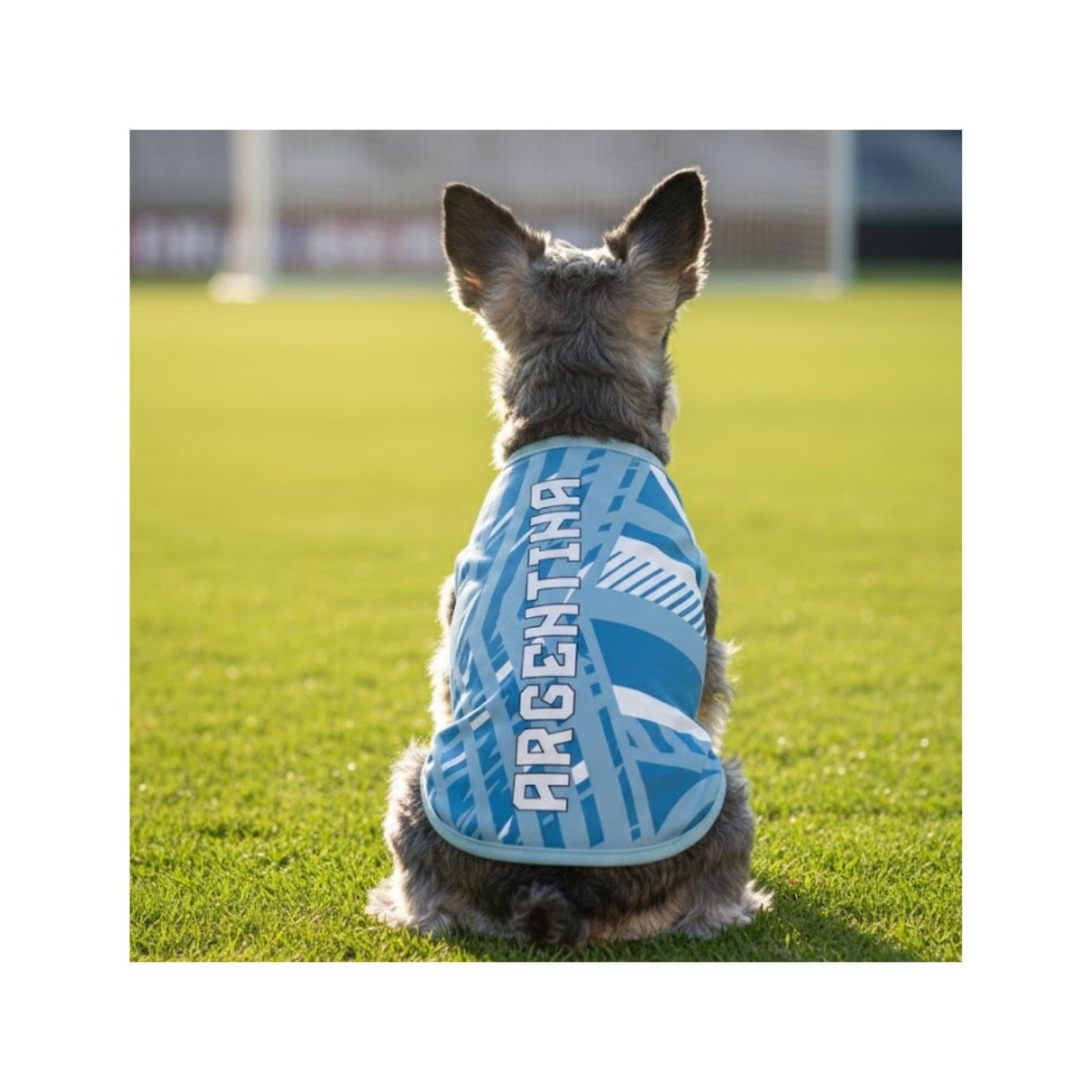 Playera Argentina L Basha Pets image number null