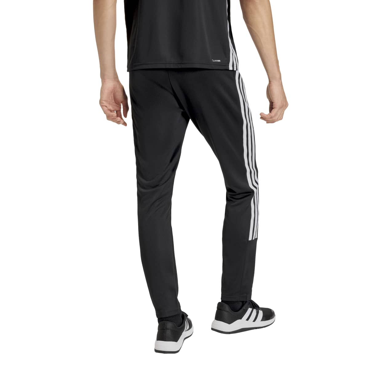 Pants Training Adidas para Hombre image number null