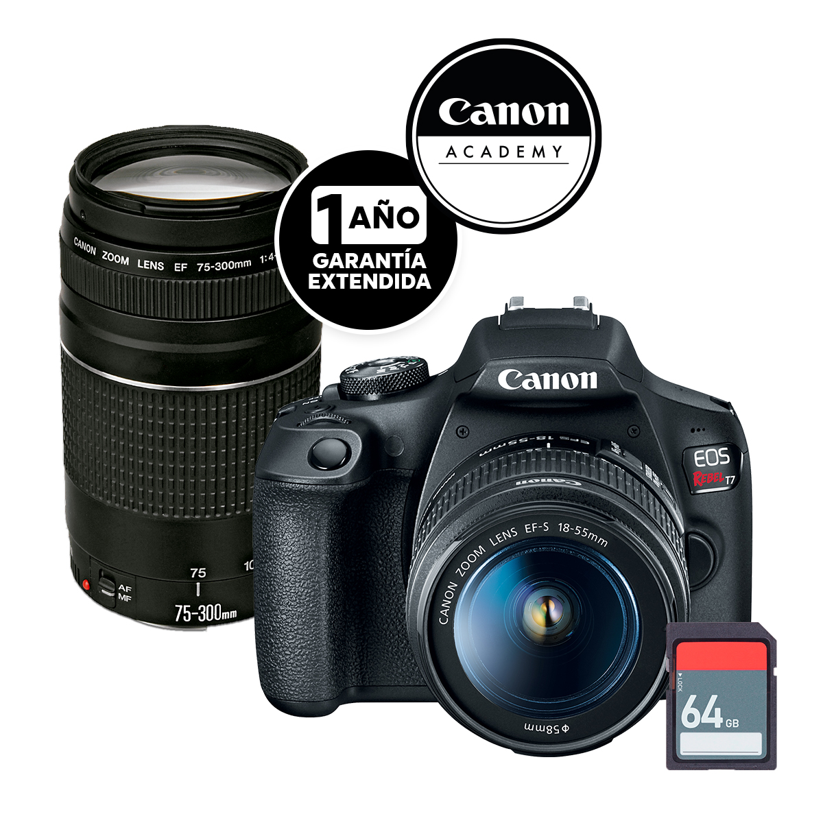 Camara Canon Kit T7 Ef-S 18-55mm Ef 75-300mm Sd64g image number null