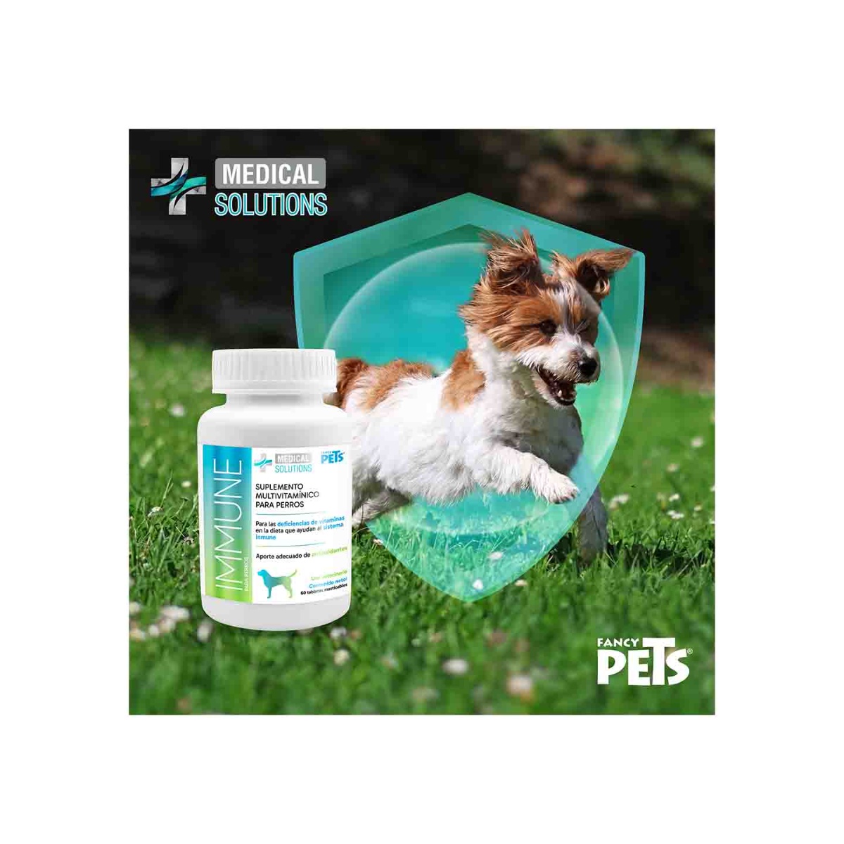 Immune Tabletas Masticables P/ Perros 60 Tab image number null
