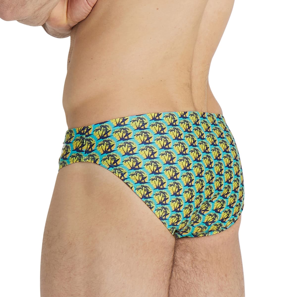 Traje de Ba&ntilde;o Brief Nataci&oacute;n Arena para Hombre image number null