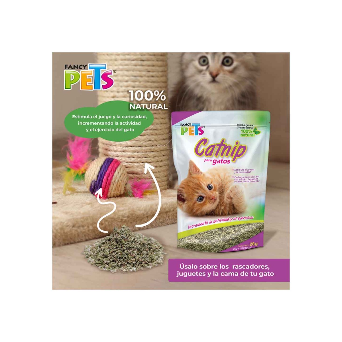 Catnip Para Gatos 28 G Fancy Pets image number null