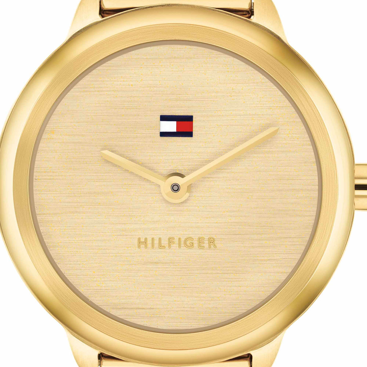 Reloj Tommy Hilfiger 1782811 Dama image number null