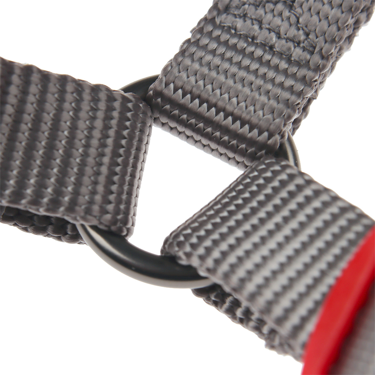 Arn&eacute;s Ajustable Caminata C&oacute;modo Plata Pata para Perro image number null