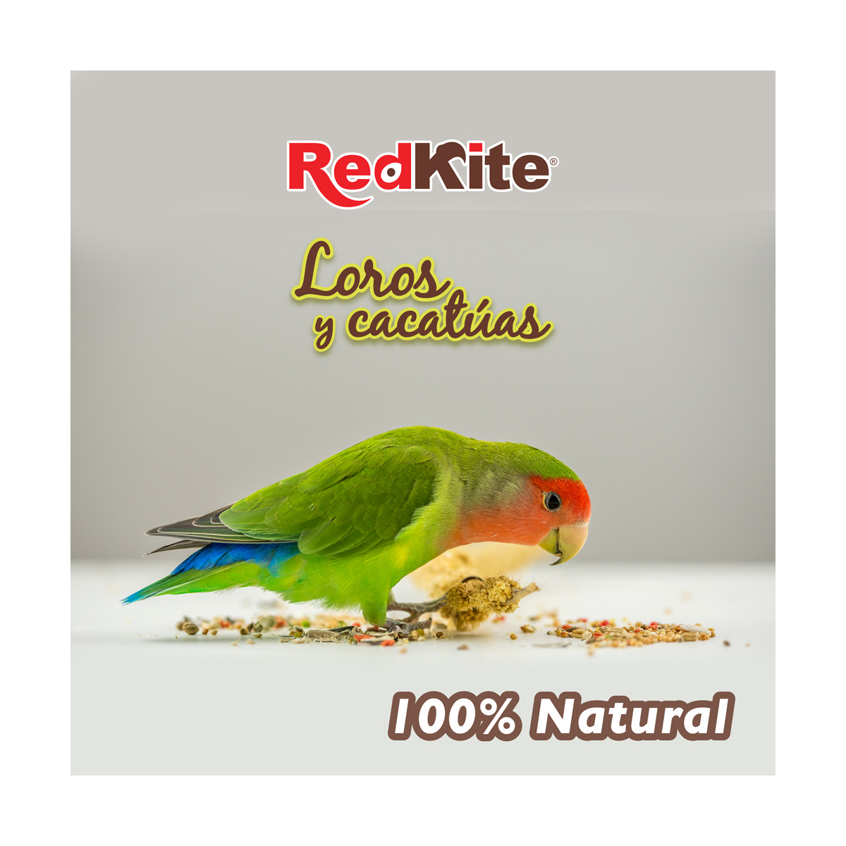 Mezcla de Semillas p/ Loros y Cacatuas 500gr Acuario Lomas image number null